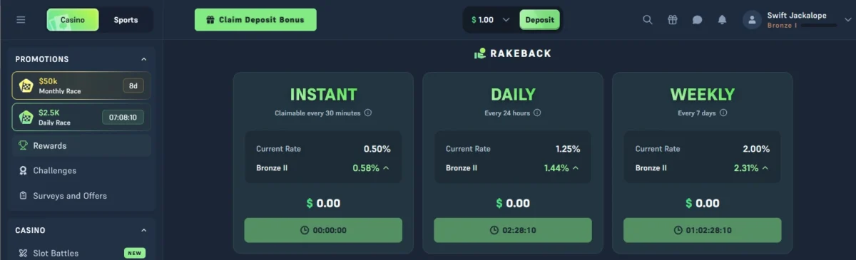 other bonuses and promotions on Acebet