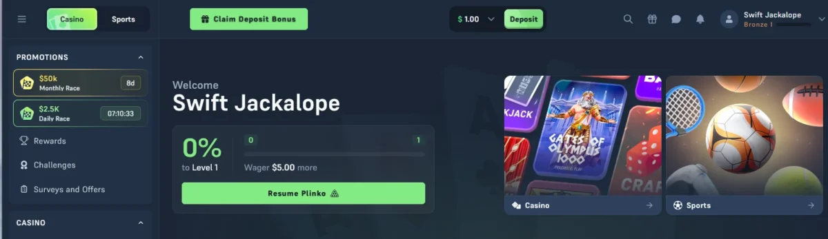 overiew of Acebet casino